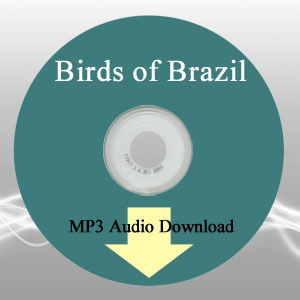 Birds of Brazil MP3 Audio Music by John Pape