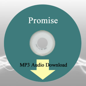 Promise MP3 Audio Music by John Pape