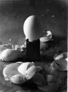 photograpy-egg-battle
