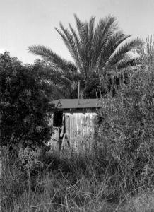 photograpy-old-shack